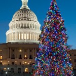 Capitol Christmas Tree 2010 lighting Capitol Christmas Tree 2010 lighting